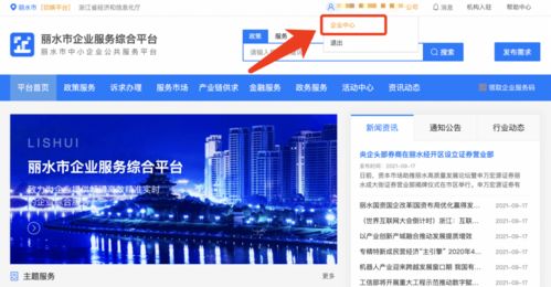 麗水企業(yè) 2021年中小微企業(yè)服務(wù)券申領(lǐng)正式啟動，助力信息技術(shù)咨詢服務(wù)發(fā)展